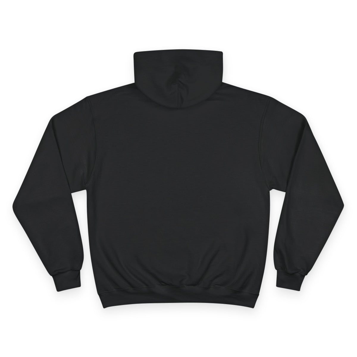 0012LTL Spirilogical Champion Hoodie little logo on front nothing on back
