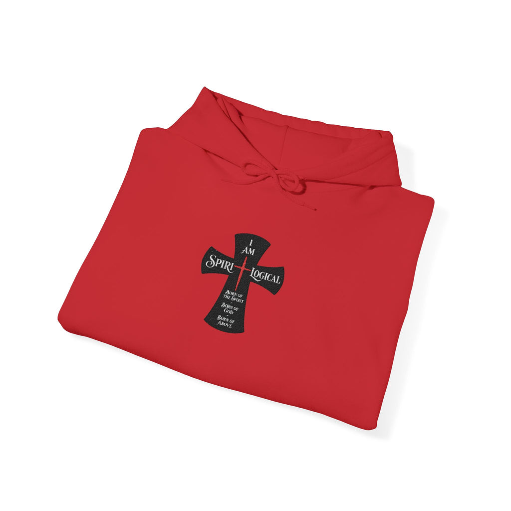 0013w Spirilogical Cross Champion Hoodie Big Logo on front nothing on the back