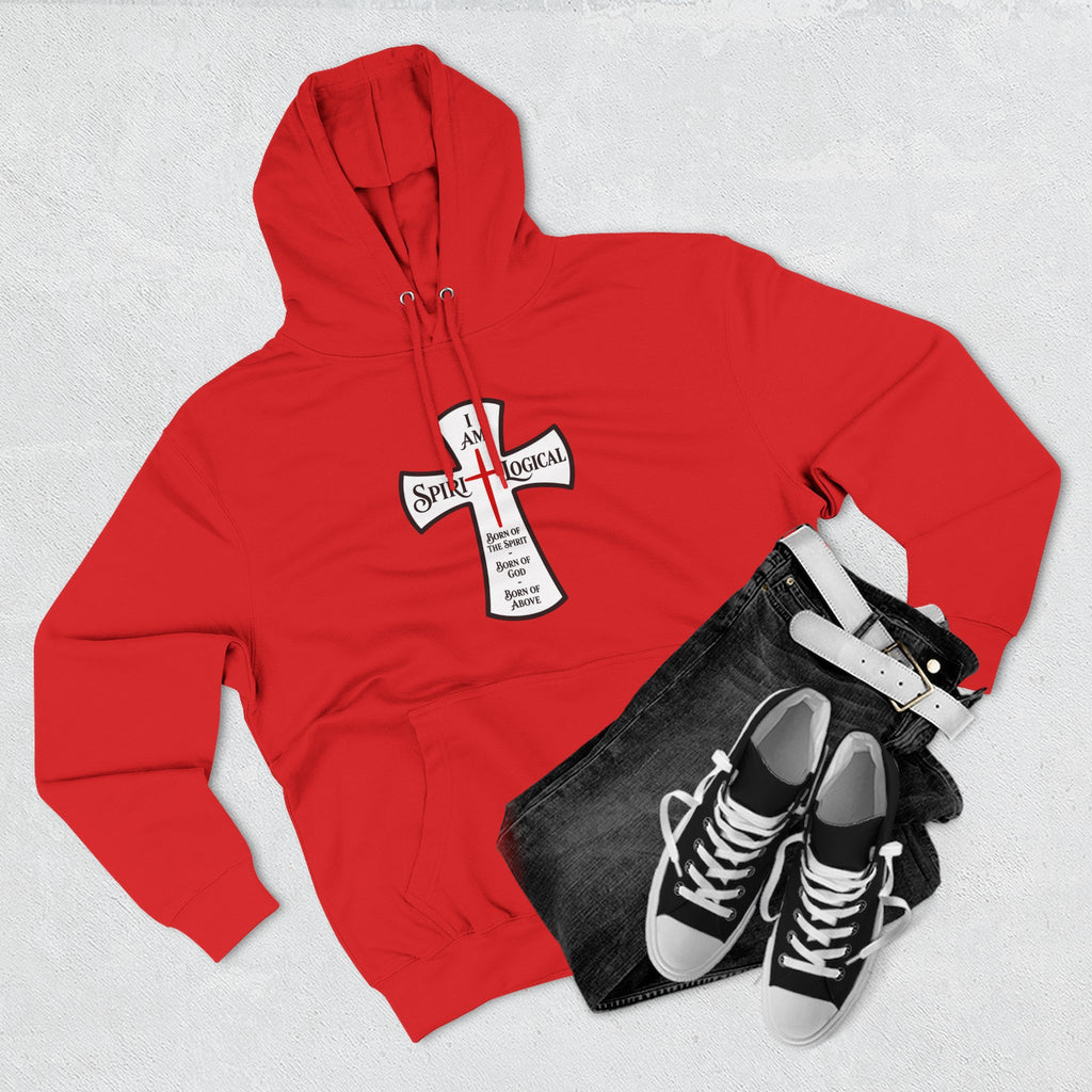 0013N Spirilogical Generic Hoodie Big logo on front + nothing on back