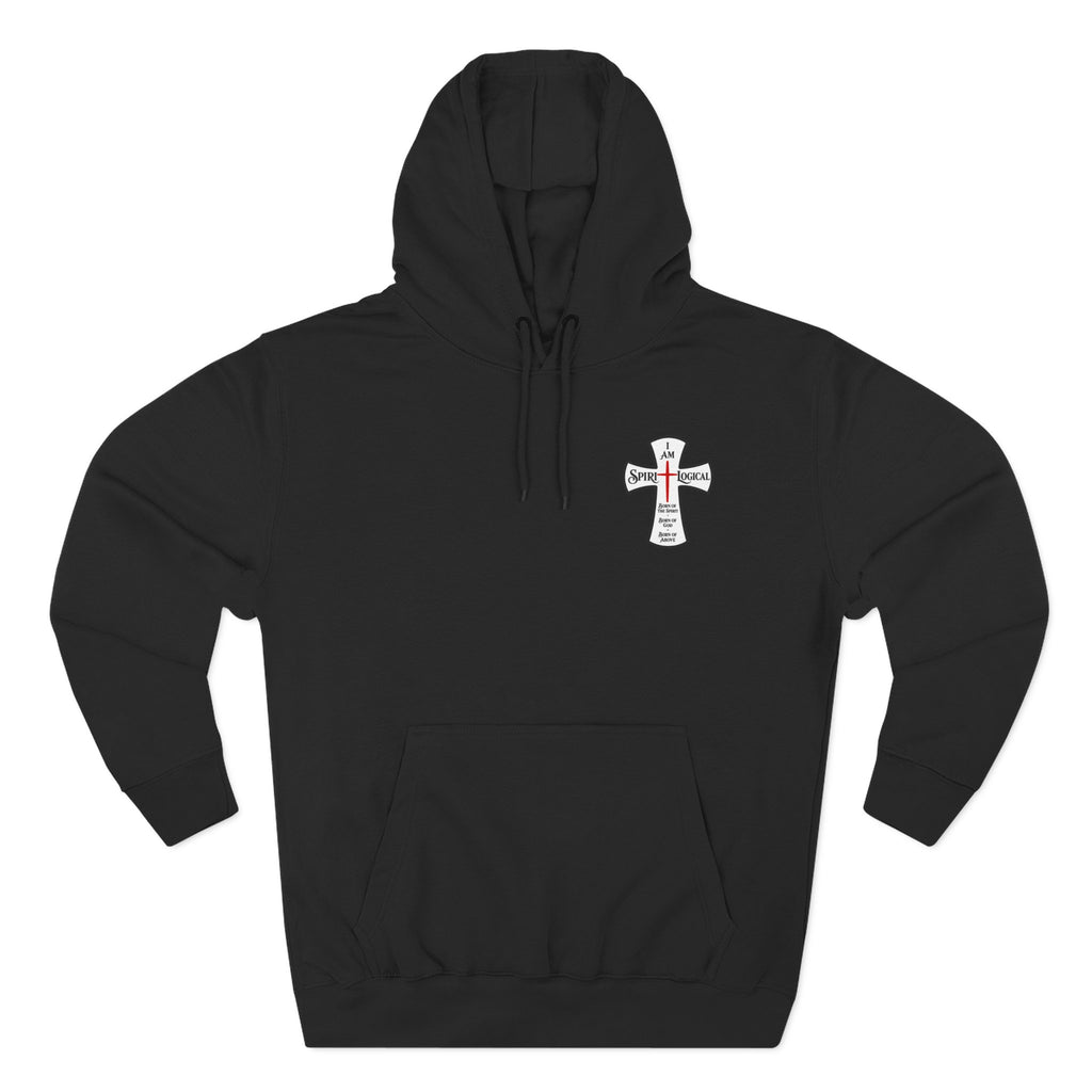 0012N Spirilogical Generic Hoodie little logo on front + nothing on back